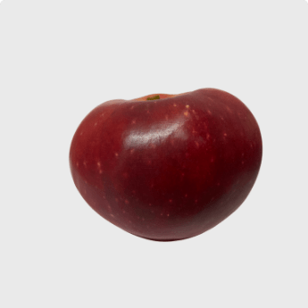 Apple Lobo