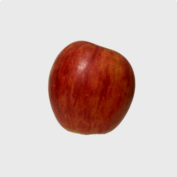 Apple Rubin